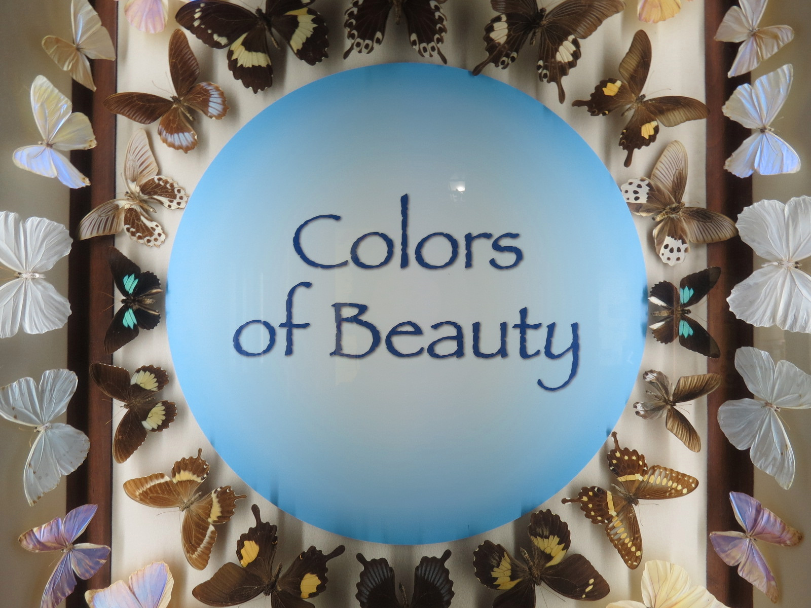 Hall Of Fame Gallery