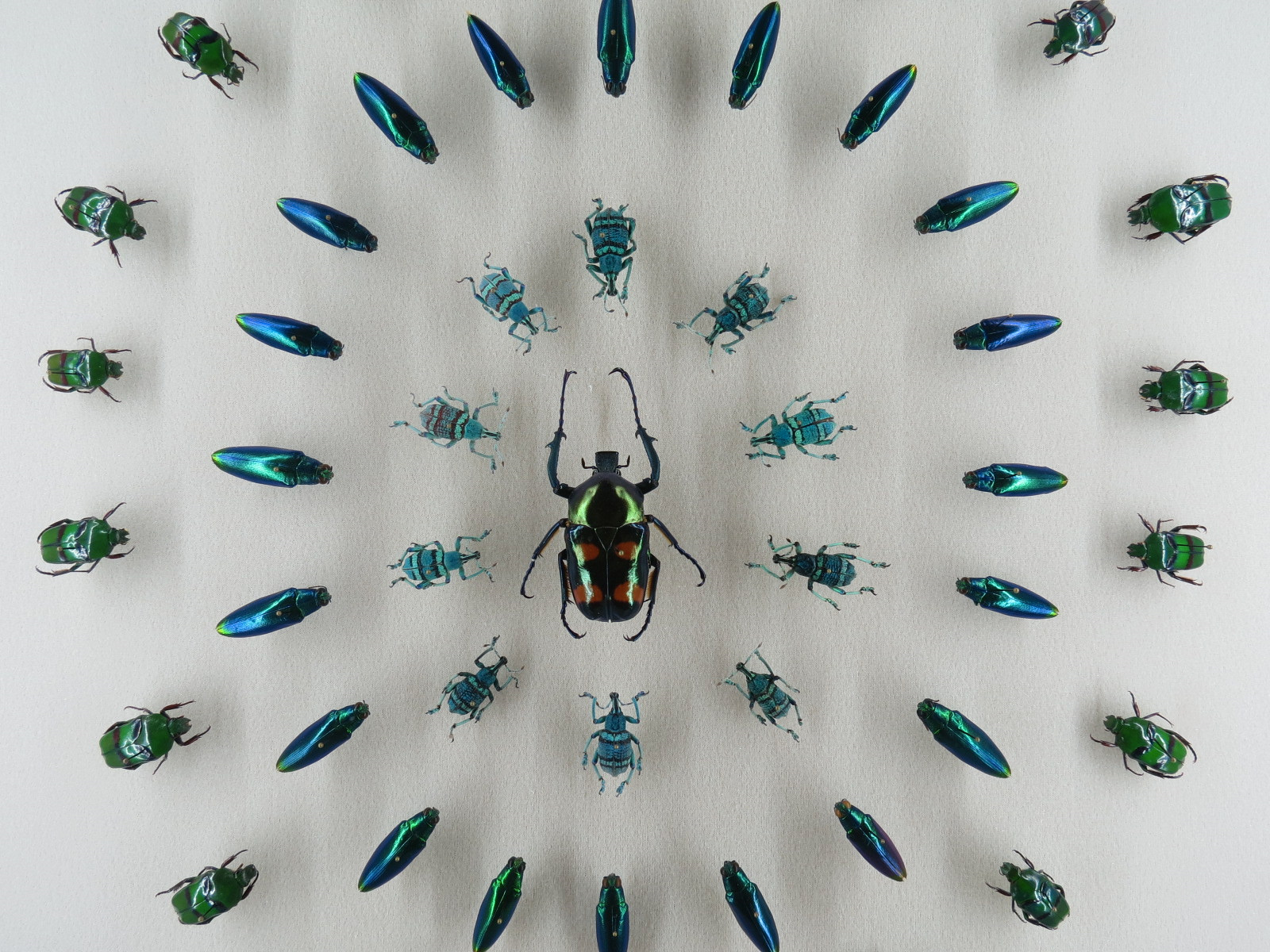 Hall of Fame Gallery