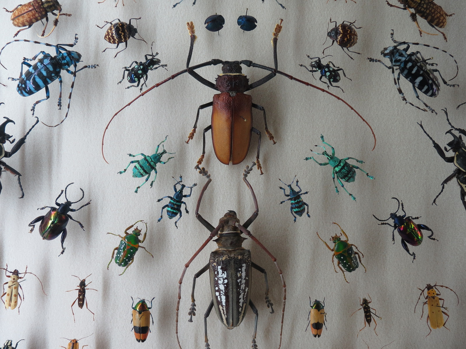 Hall of Fame Gallery