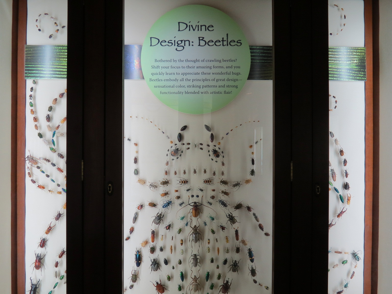 Hall of Fame Gallery