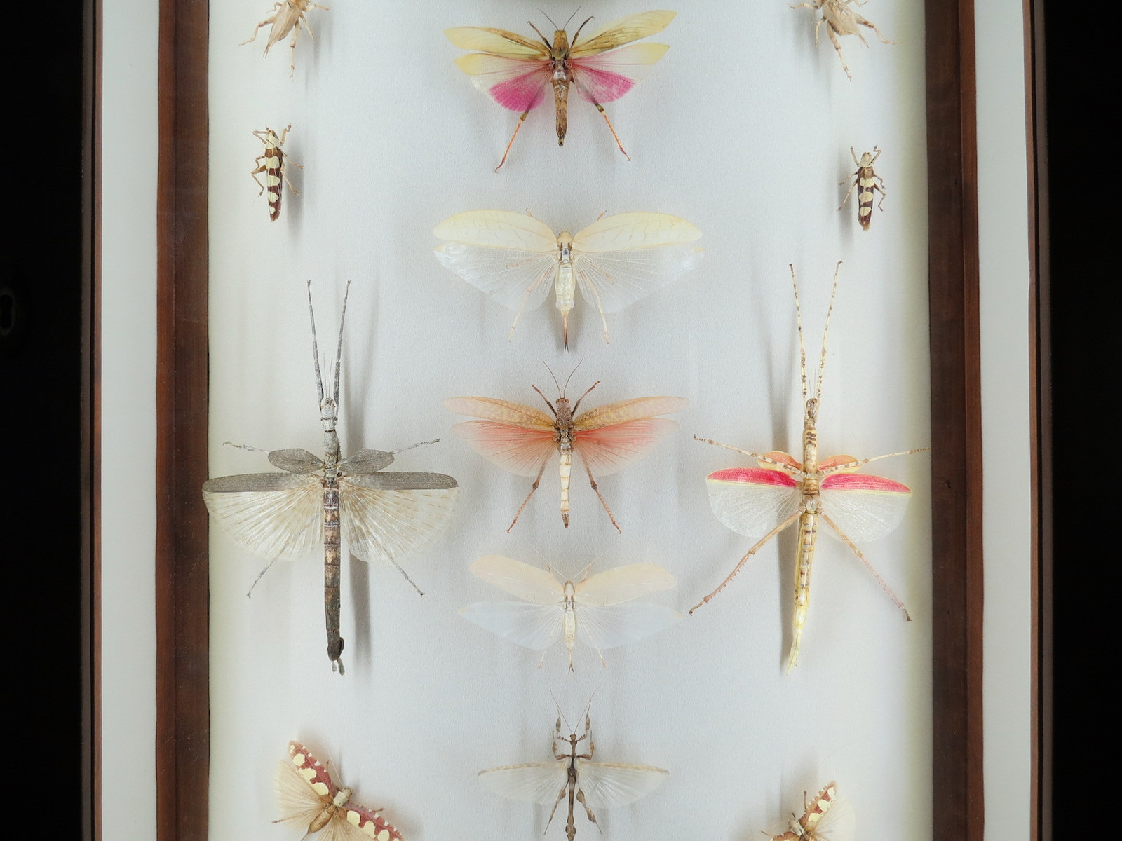 Hall of Fame Gallery