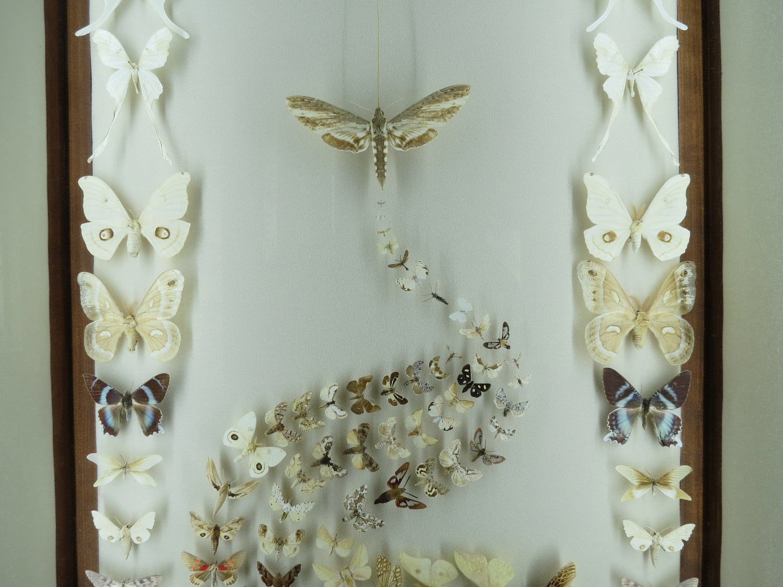 Hall of Fame Gallery