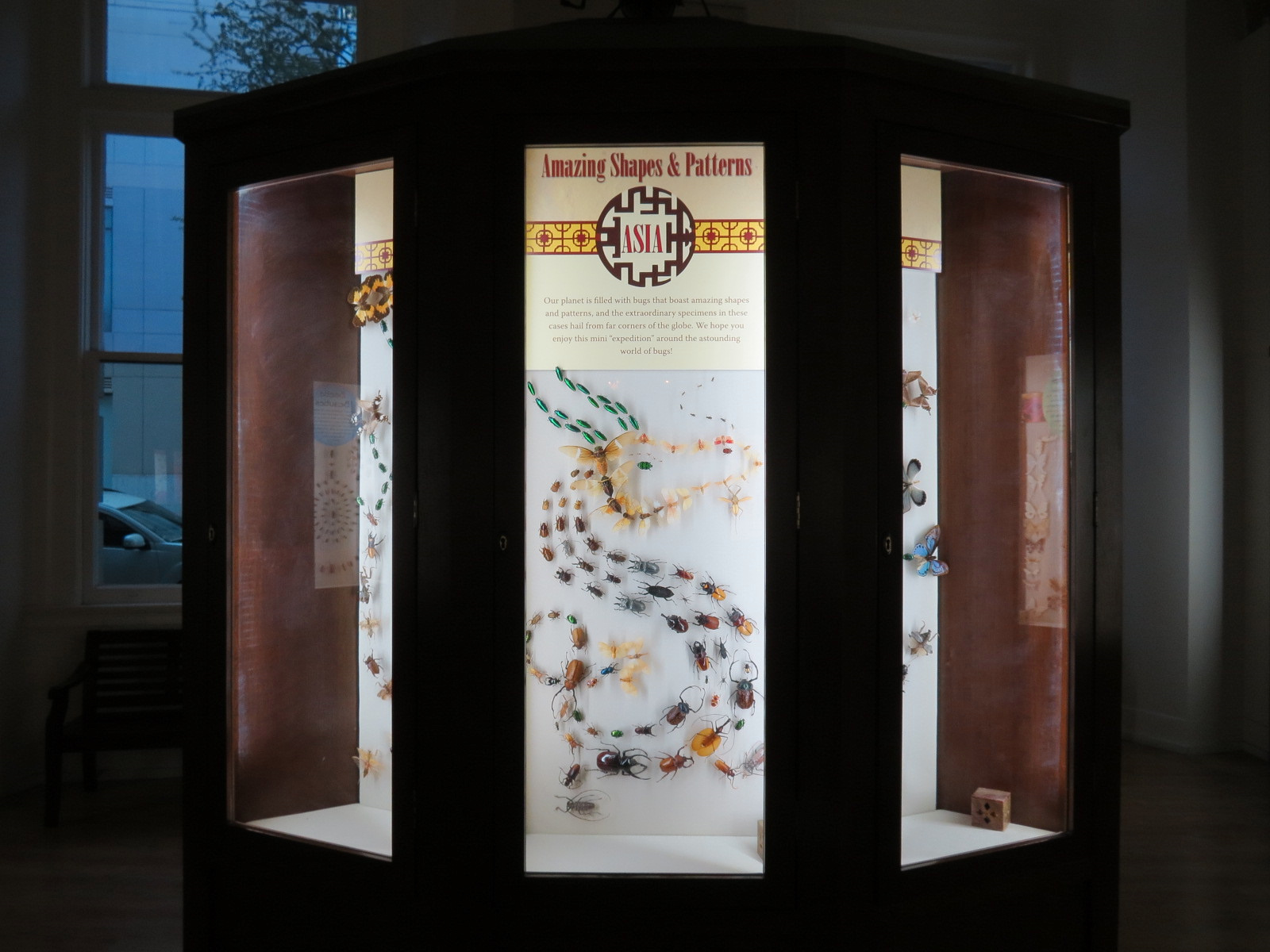 Hall of Fame Gallery