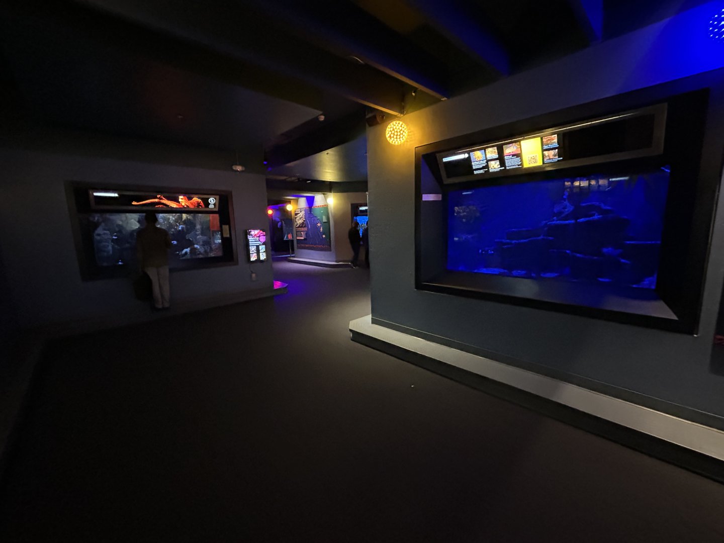 Hall of Fishes Overview