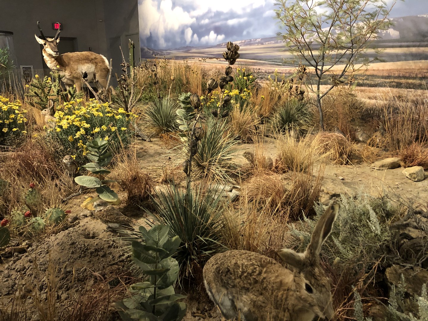 Hall of Natural Wonders