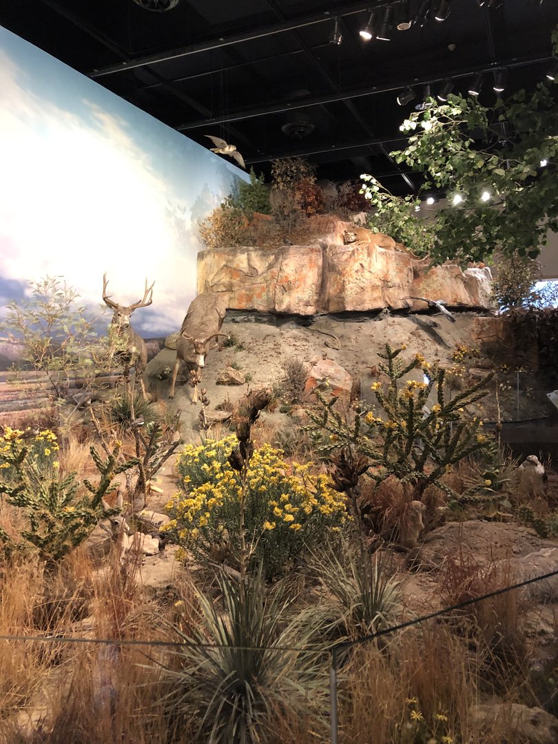 Hall of Natural Wonders