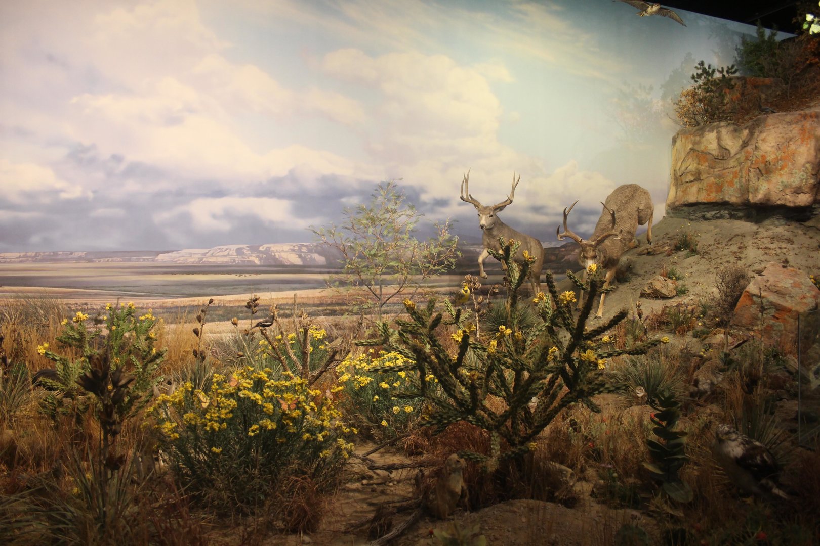 Hall of Natural Wonders