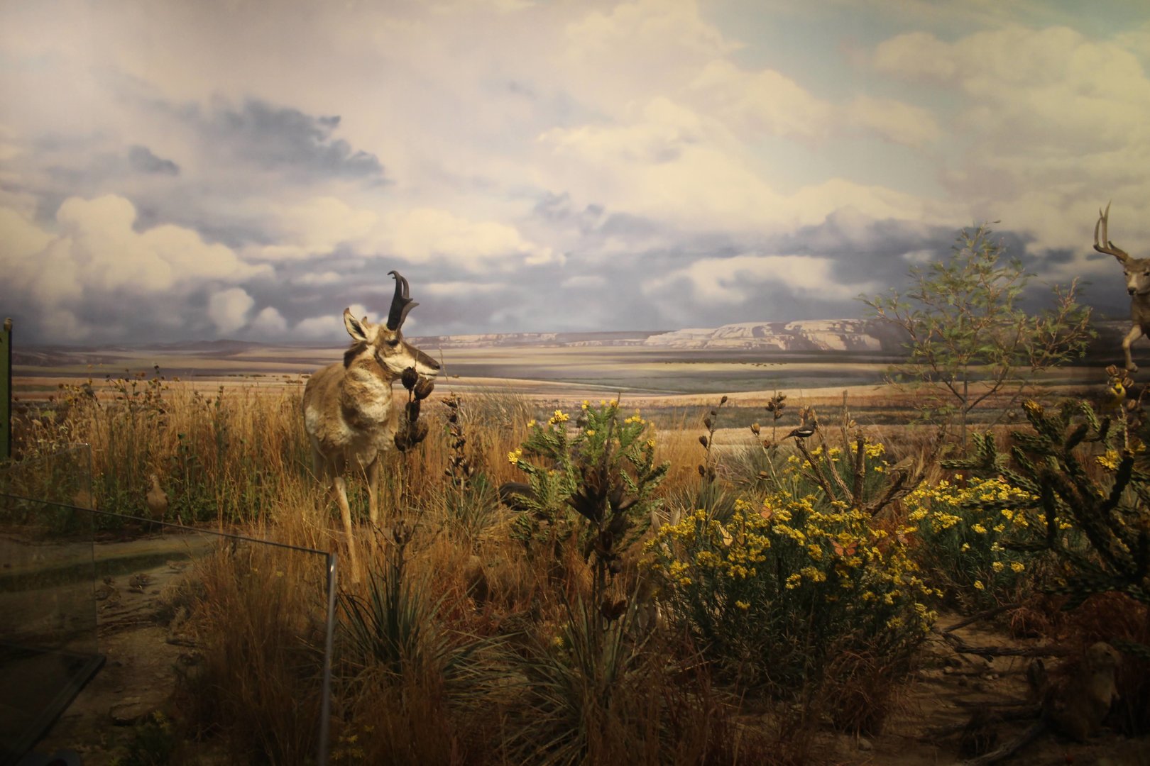 Hall of Natural Wonders