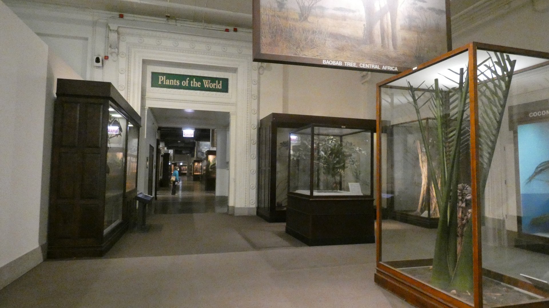 Hall of Plants - Feb. 2022