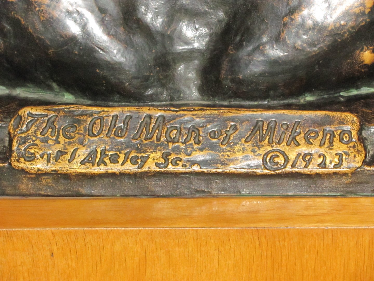 Hall of Primates The Old Man of Mikeno Sculpture