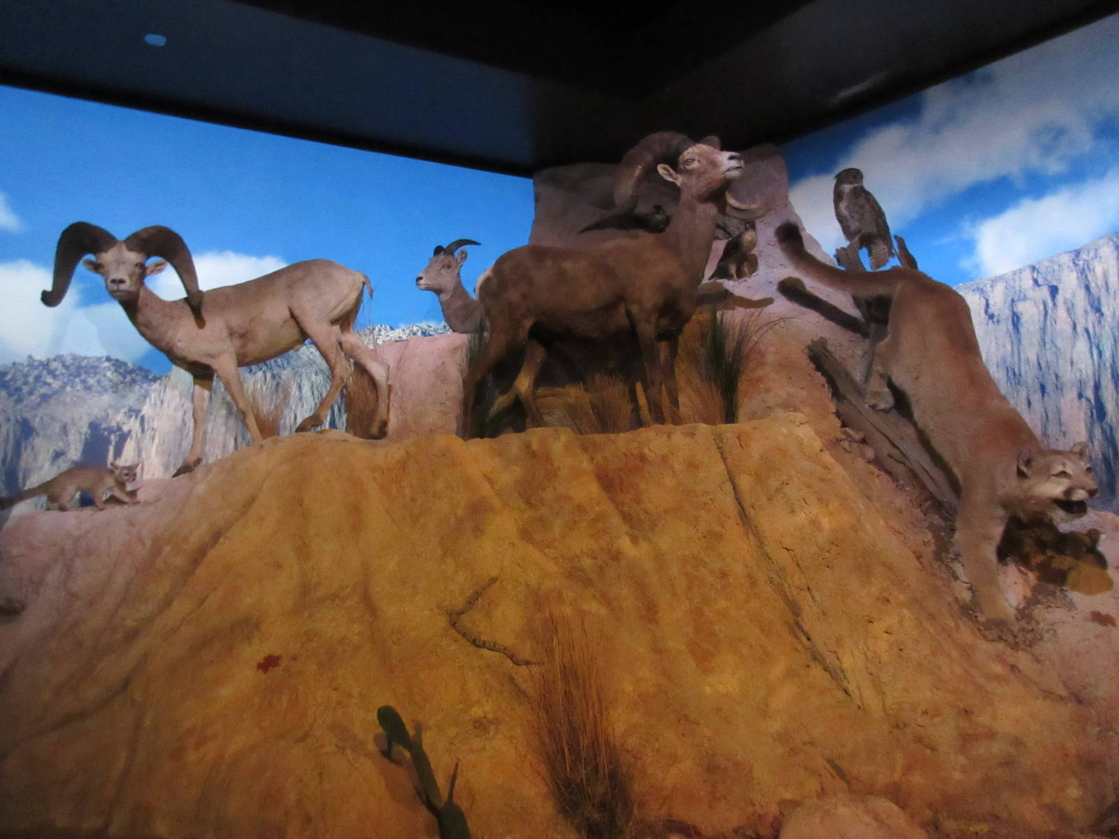 Hall of Texas Wildlife