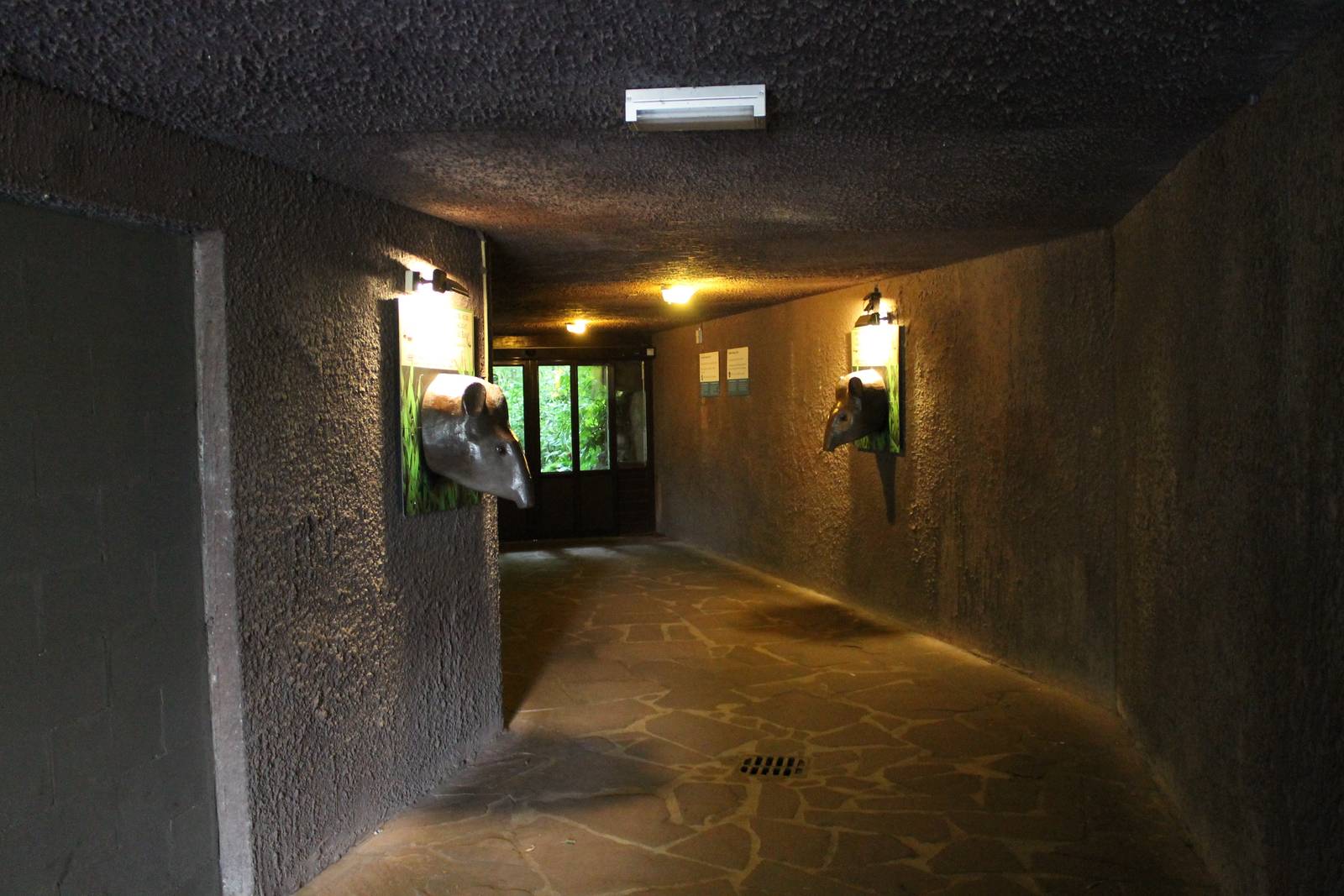 Hall-way to the Bush