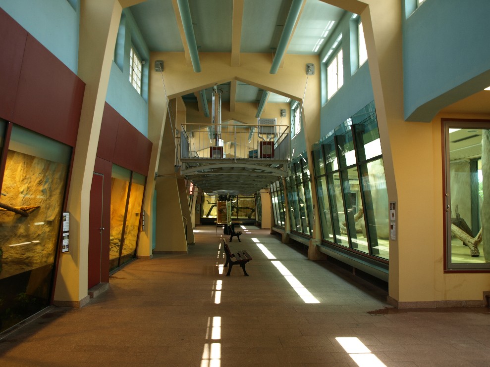 Halle Zoo - Big Cat House