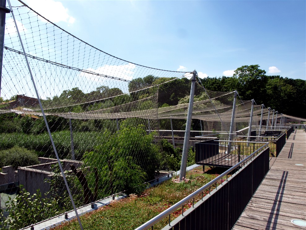 Halle Zoo - Big Cat House