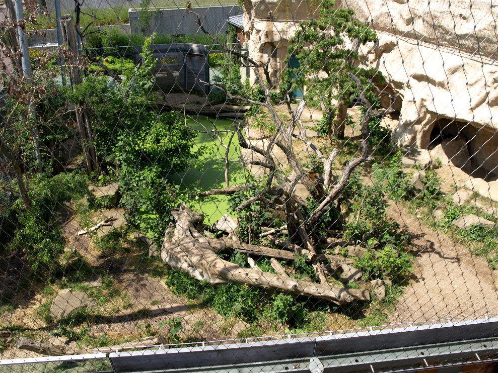 Halle Zoo - Big Cat House