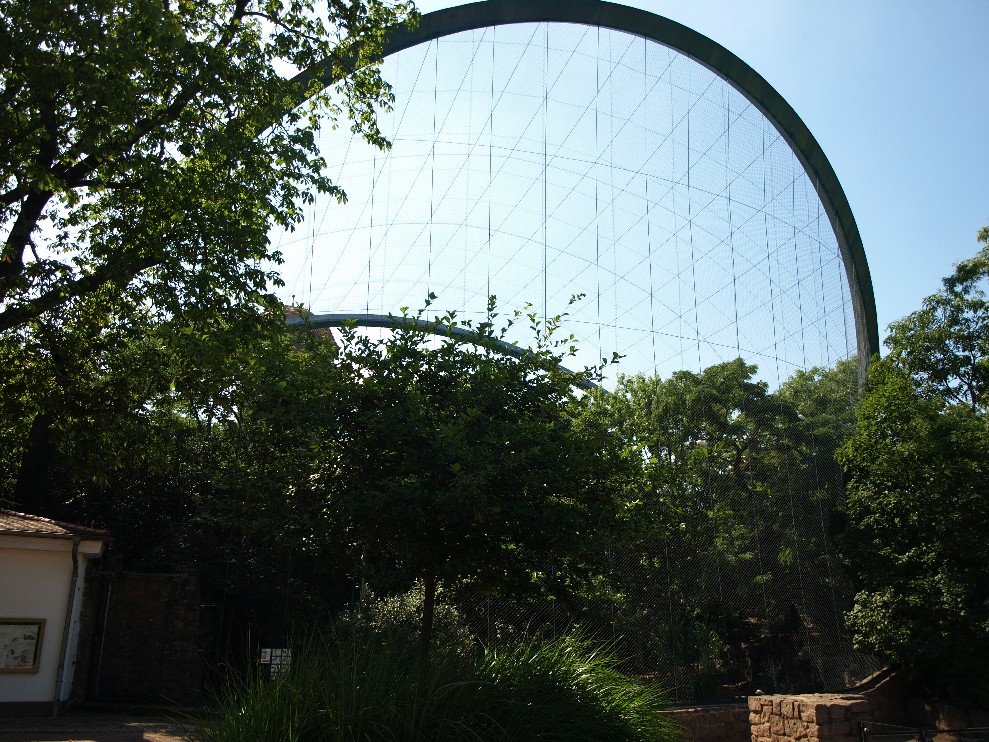Halle Zoo - Free-flight aviary