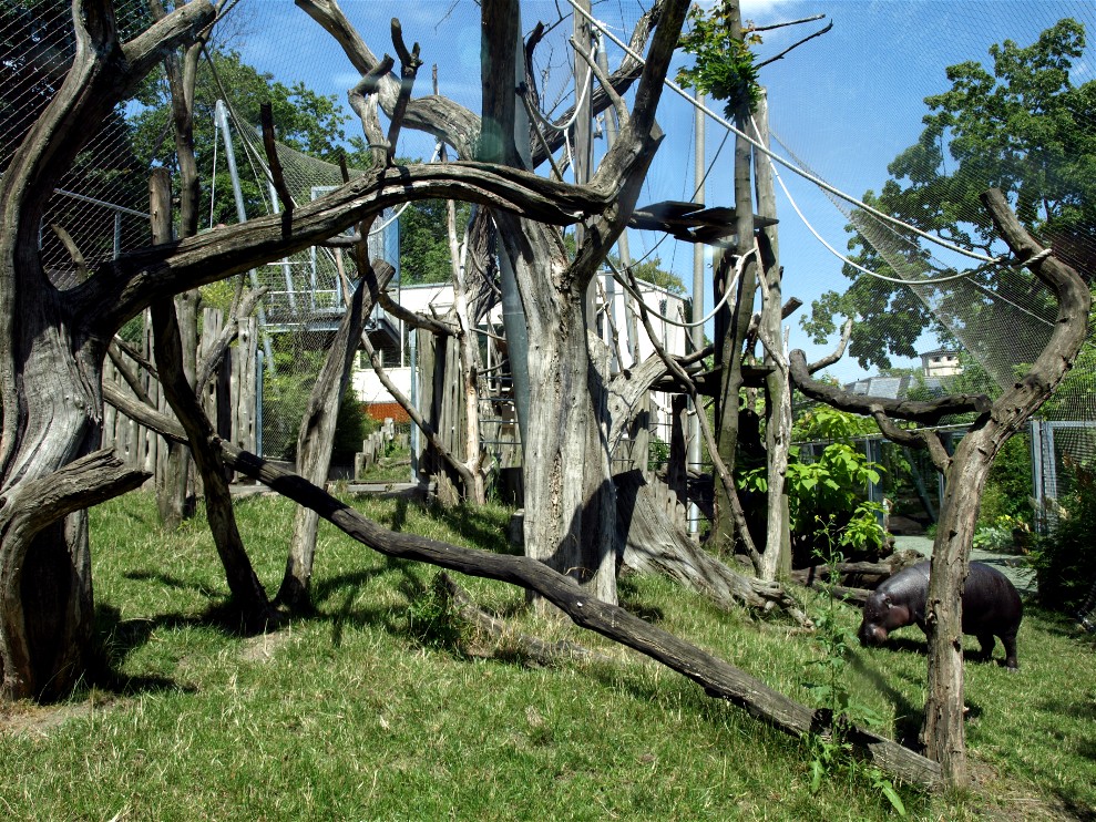 Halle Zoo - Hippo/saki aviary