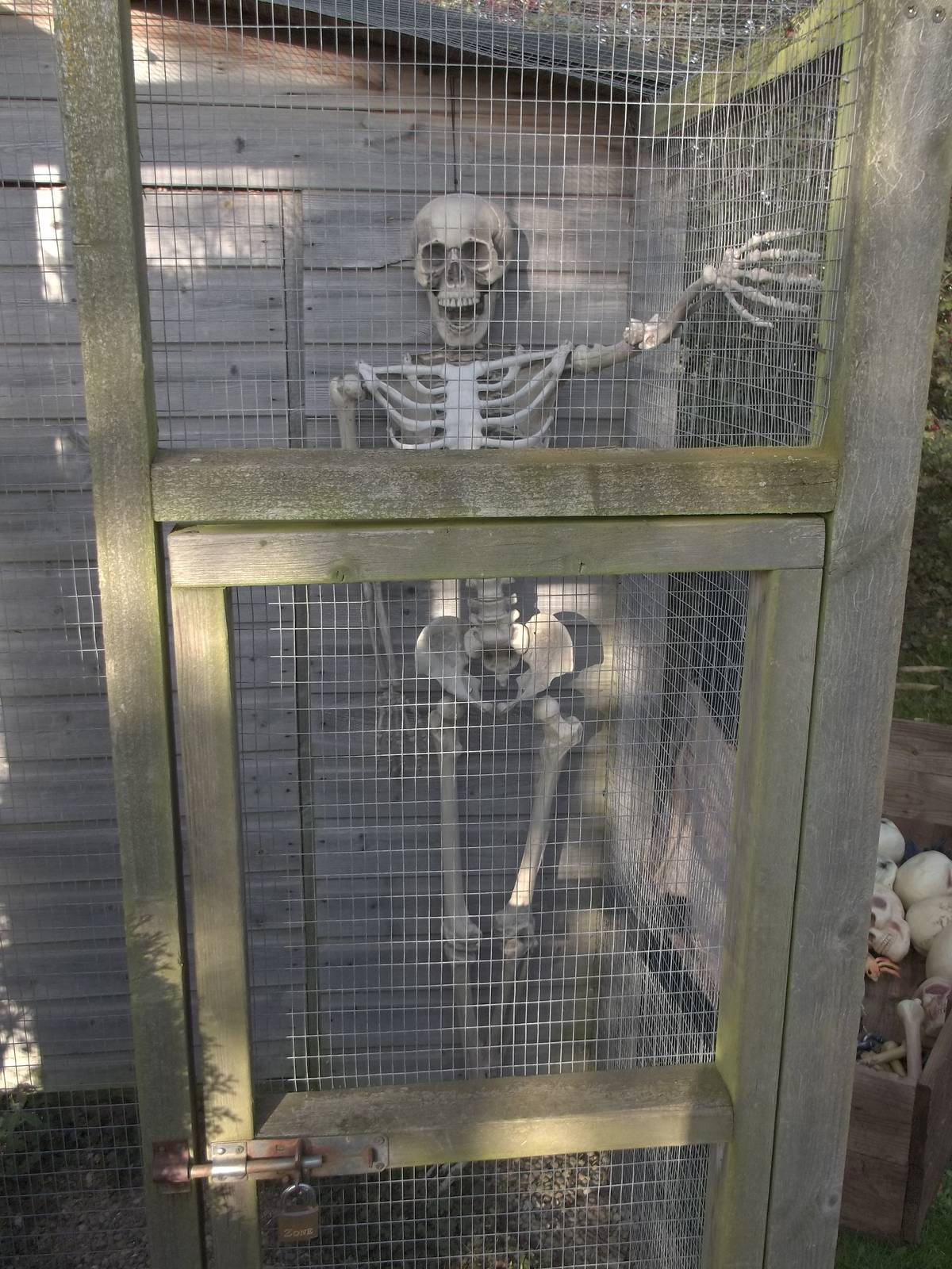 Halloween decoration, 23rd October 2014