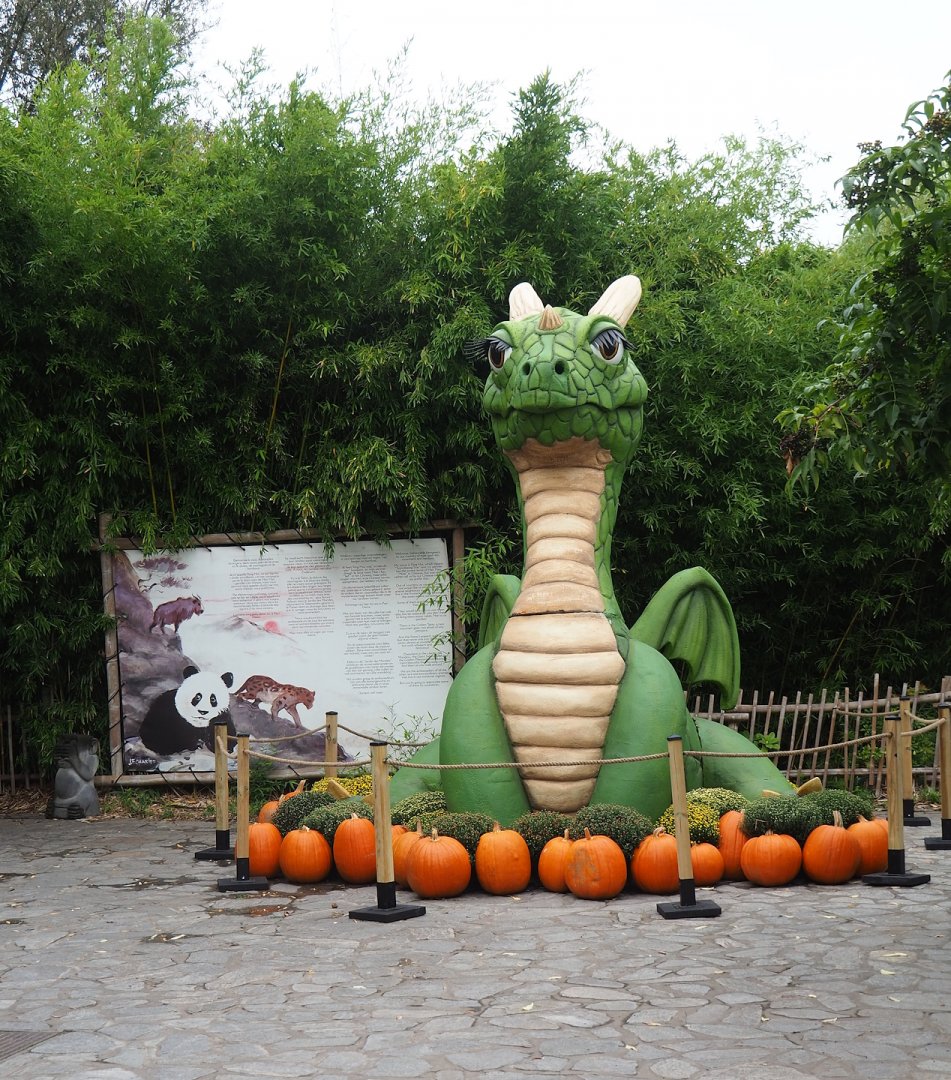 Halloween decoration - Dragon, 2023-10-13