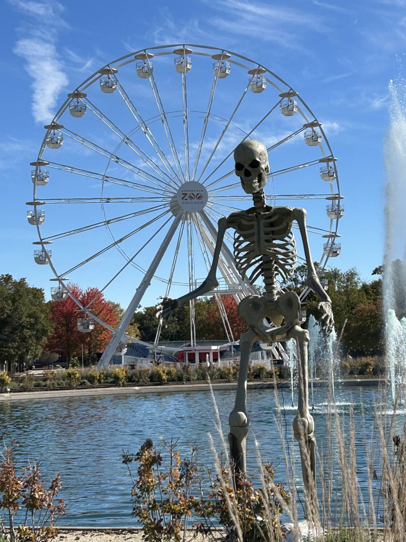 Halloween decoration w/ Ferris Wheel in the background.