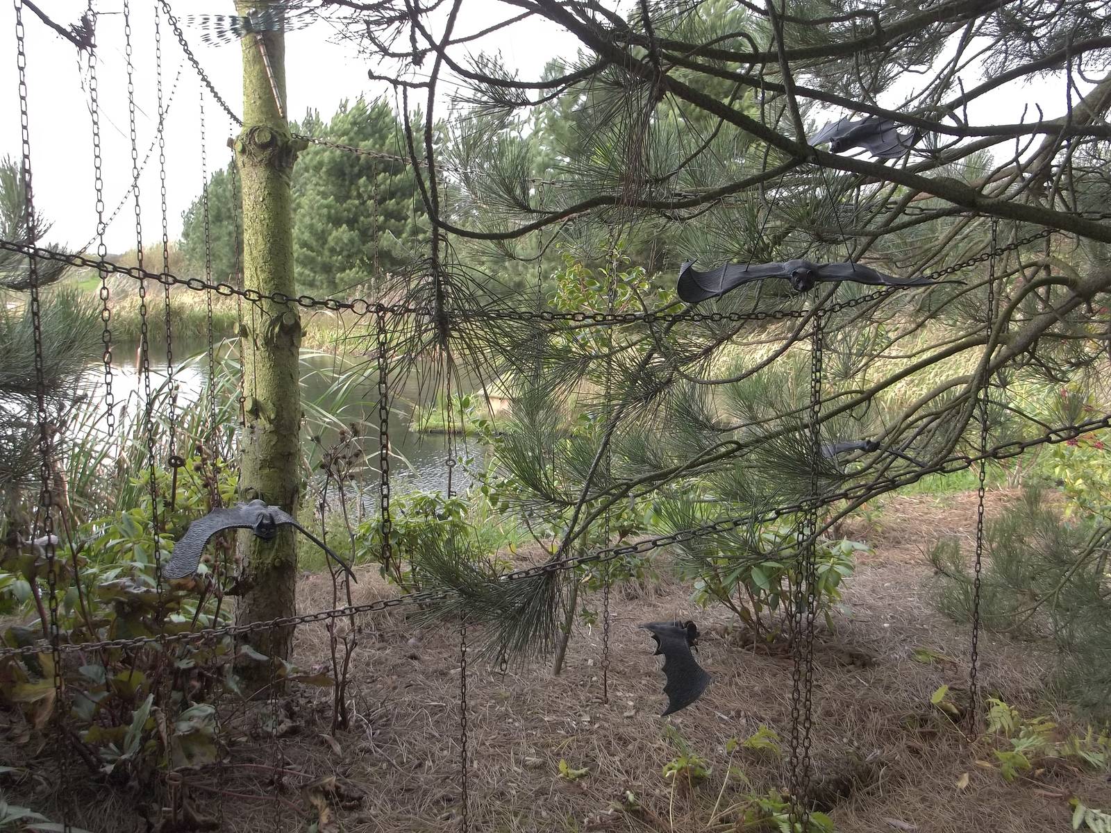 Halloween decorations, 23rd October 2014