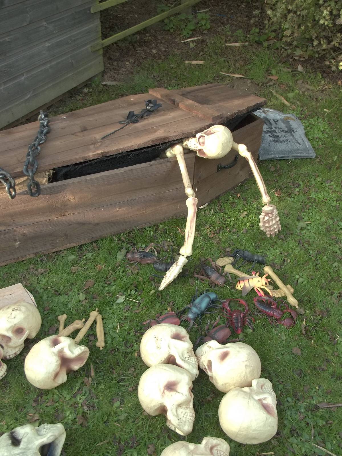Halloween decorations, 23rd October 2014
