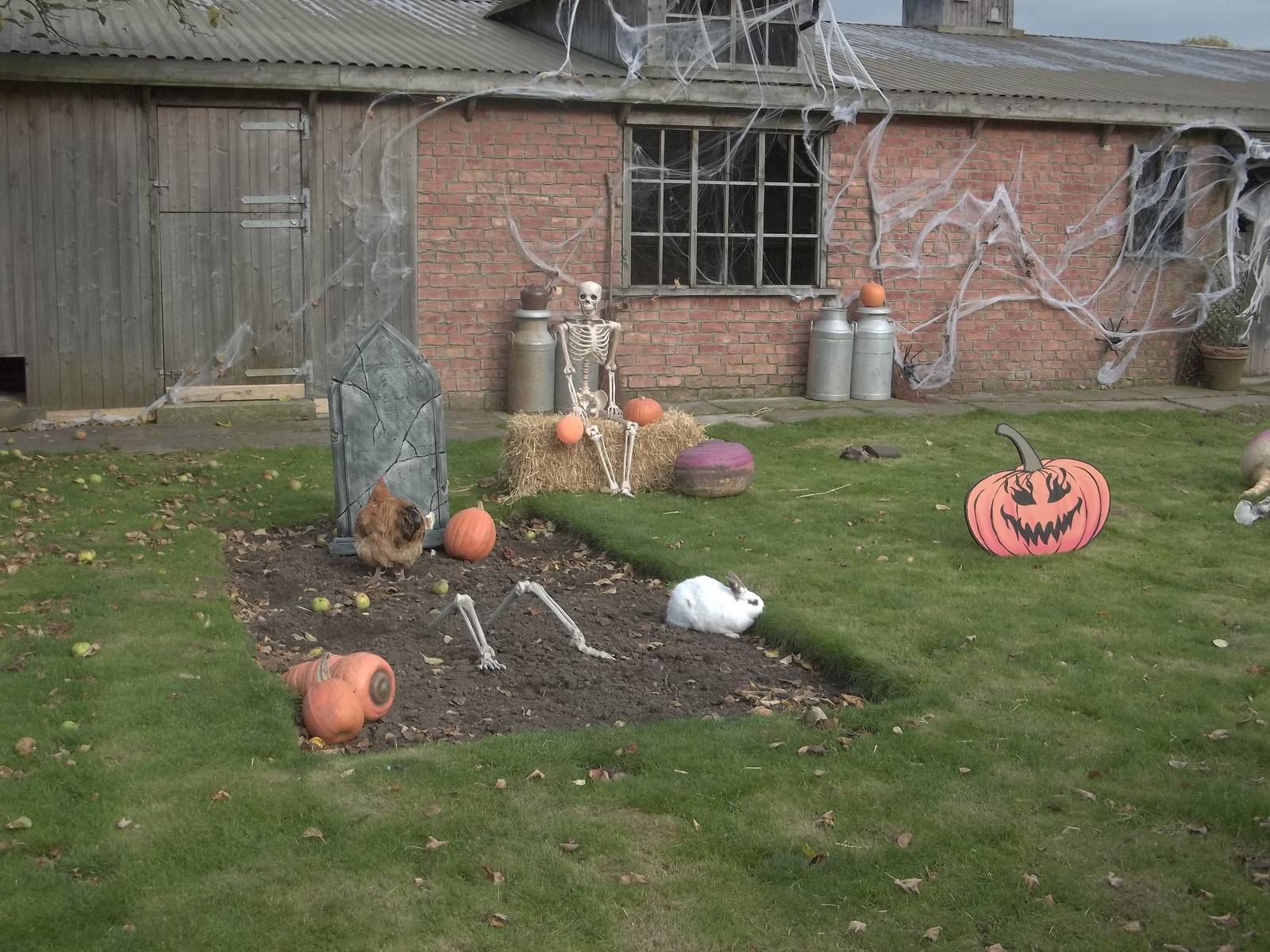 Halloween decorations, 27th October 2014