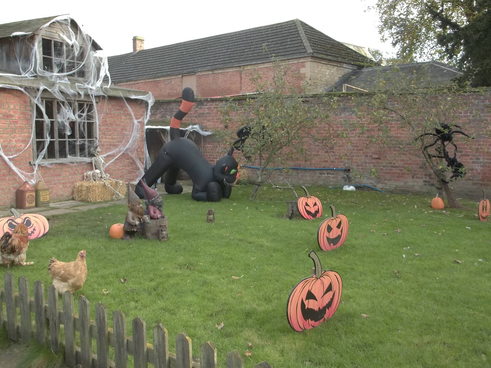 Halloween decorations, 27th October 2014