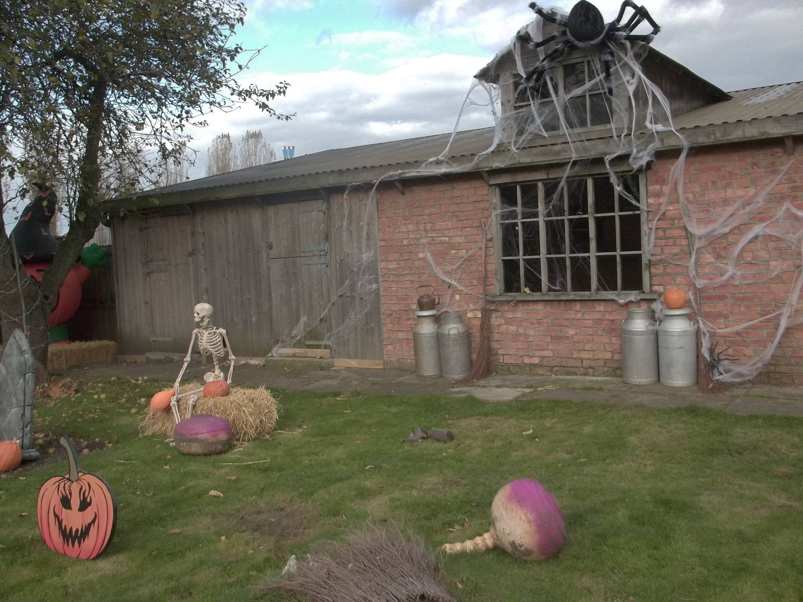 Halloween decorations, 27th October 2014