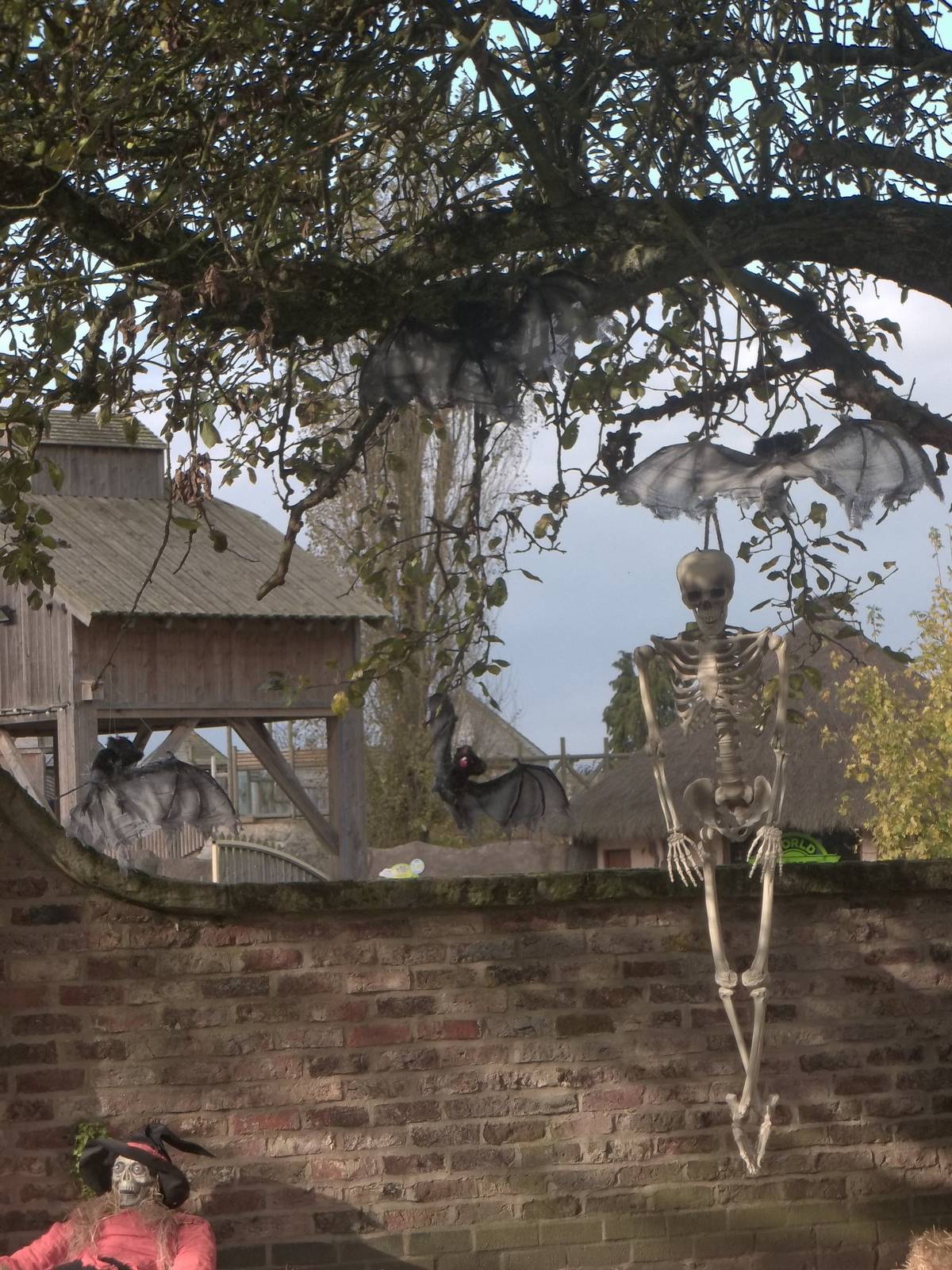 Halloween decorations, 27th October 2014