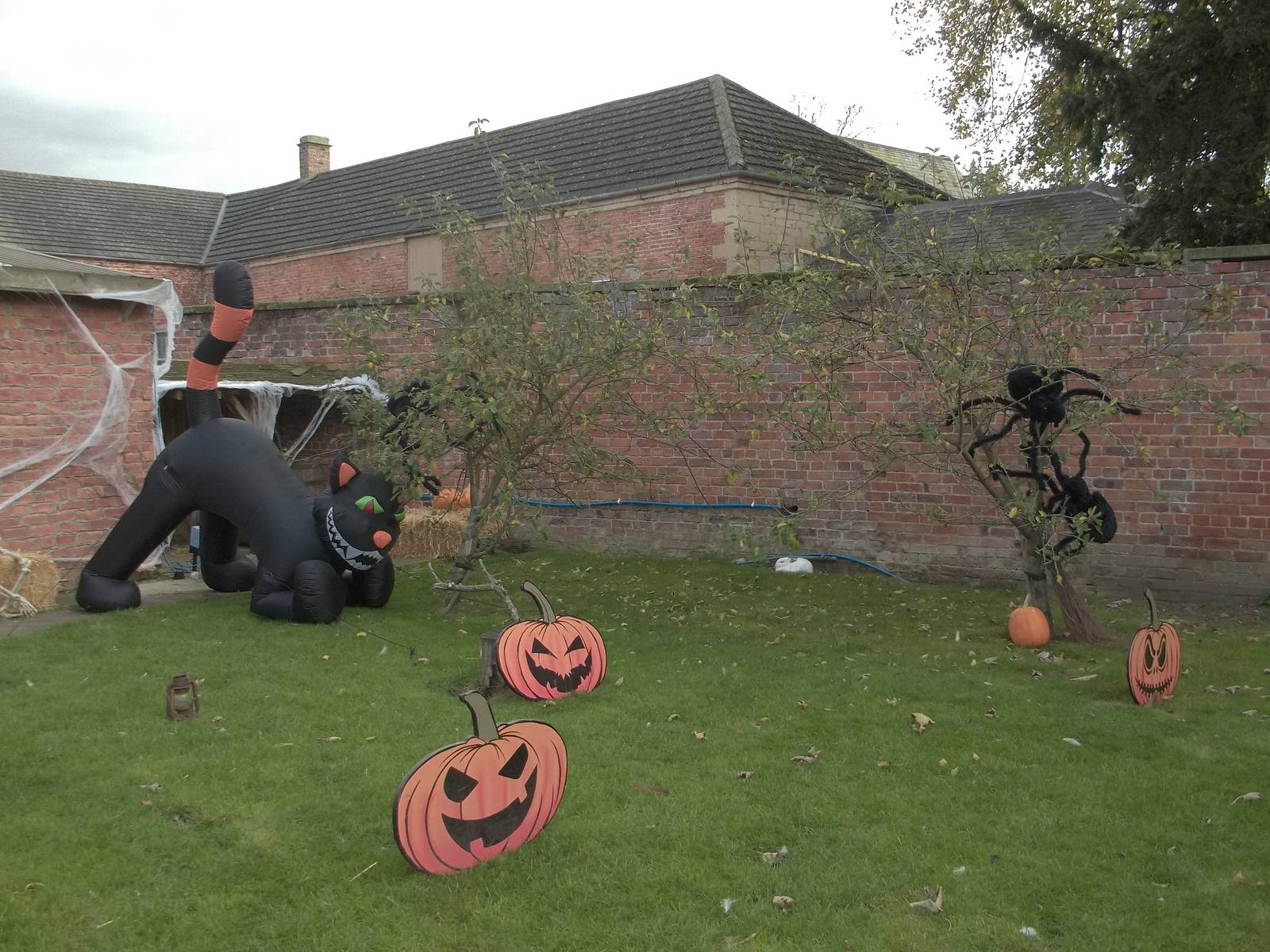 Halloween decorations, 27th October 2014