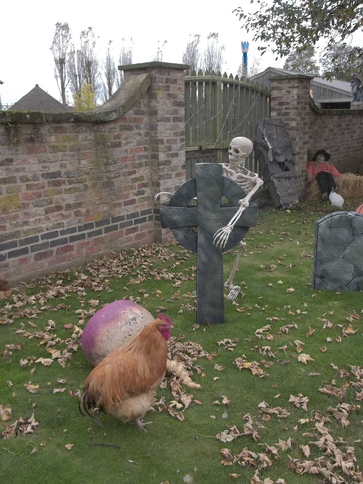 Halloween decorations, 27th October 2014