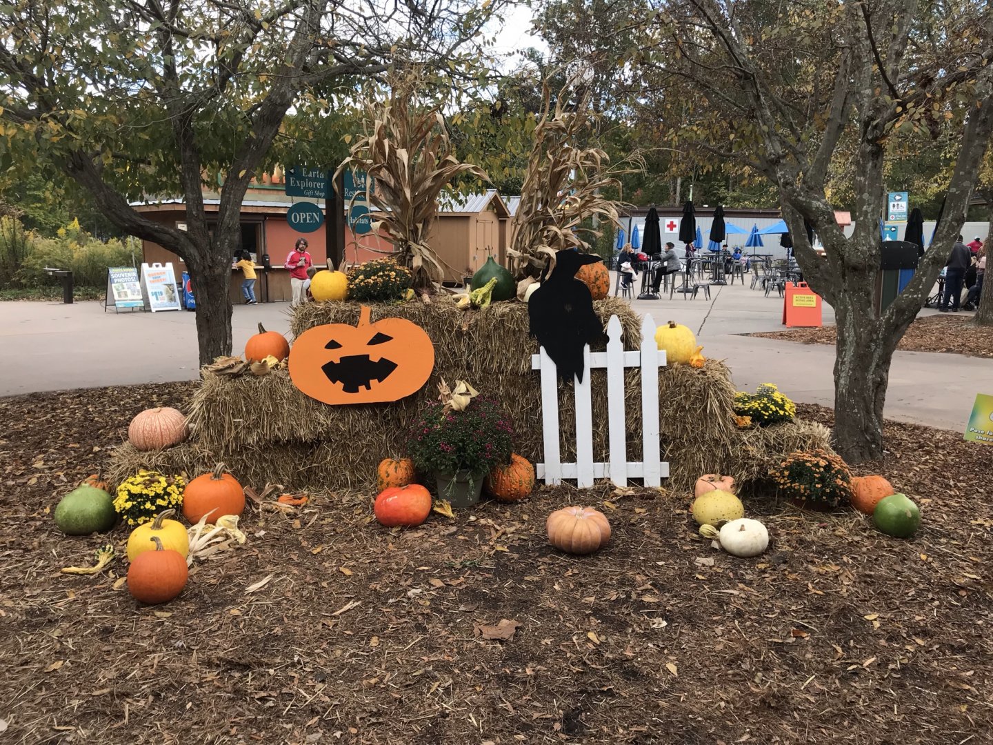 Halloween Decorations at Entrance