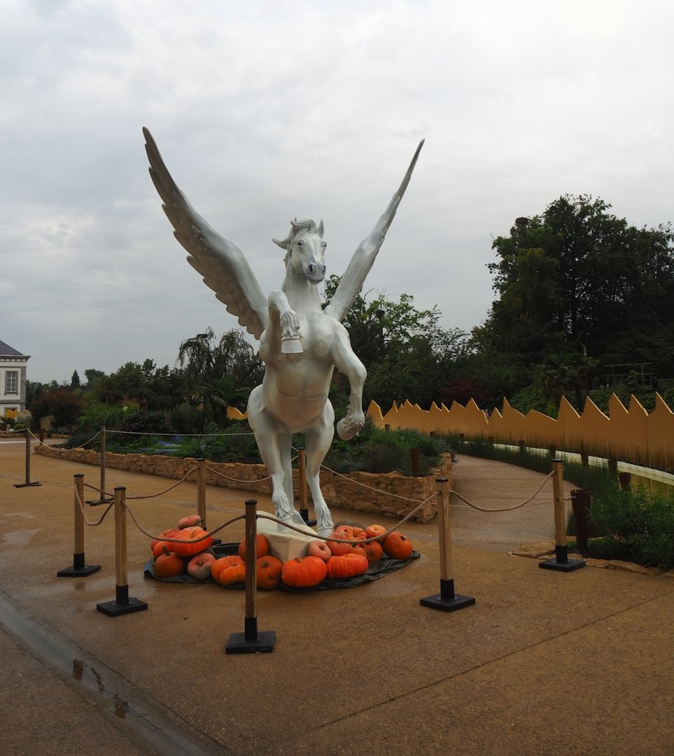 Halloween decorations - Pegasus and pumpkins, 2023-10-13