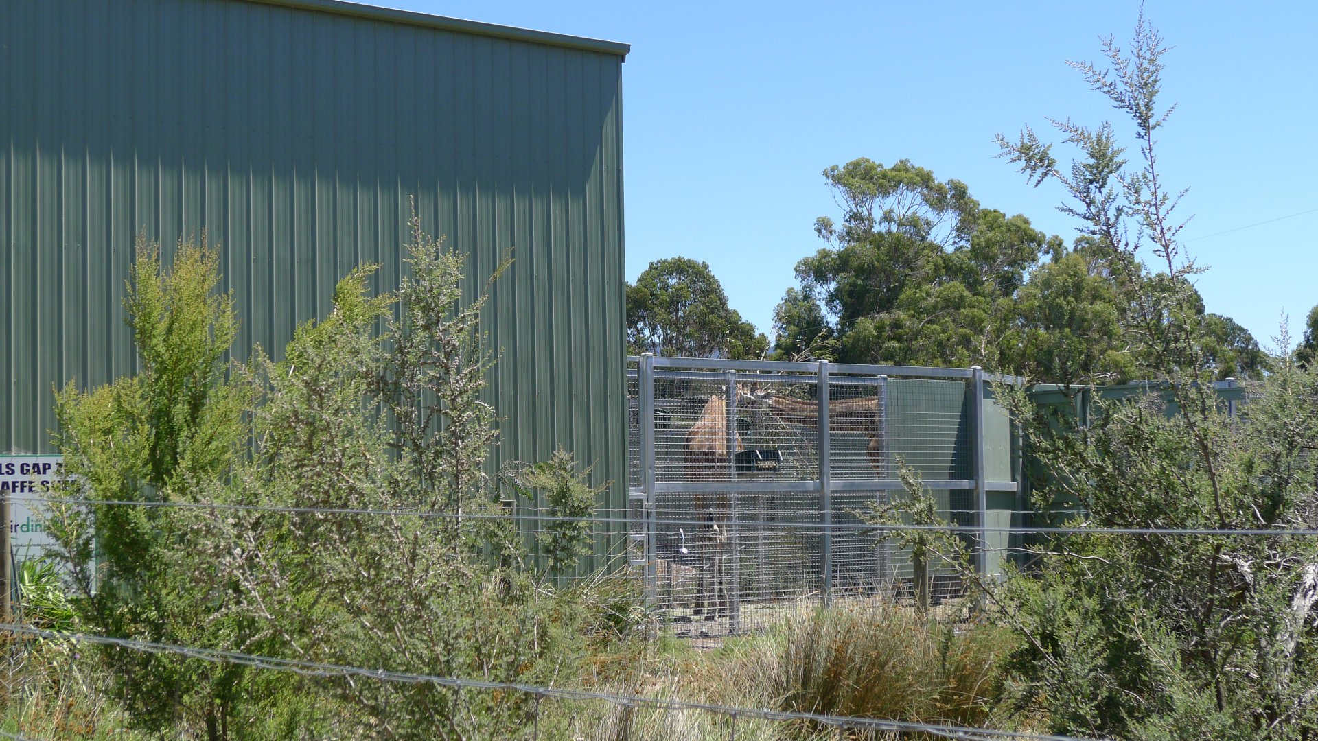 Halls Gap Zoo - Back of giraffe house