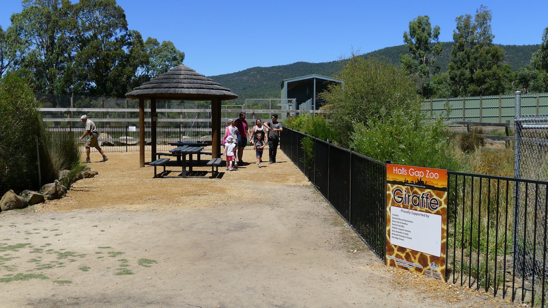 Halls Gap Zoo - giraff viewing are