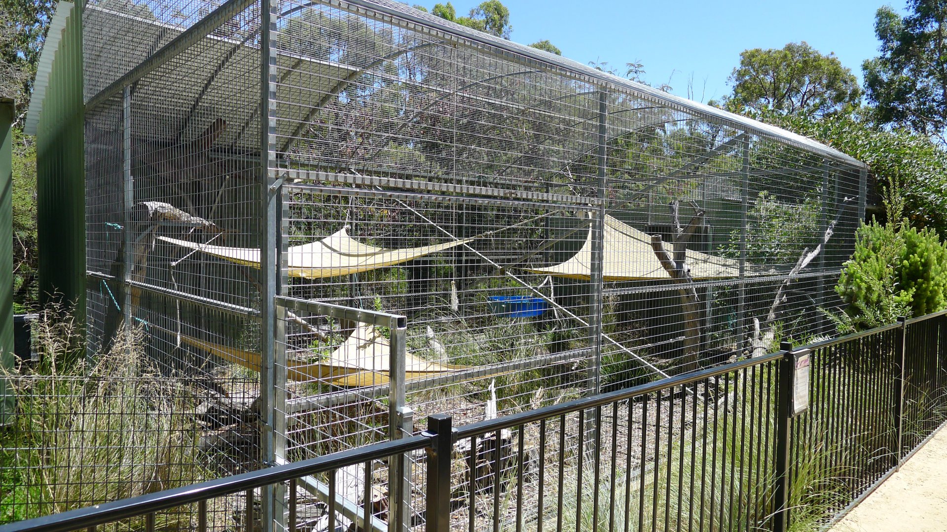 Halls Gap Zoo - Serval enclosure