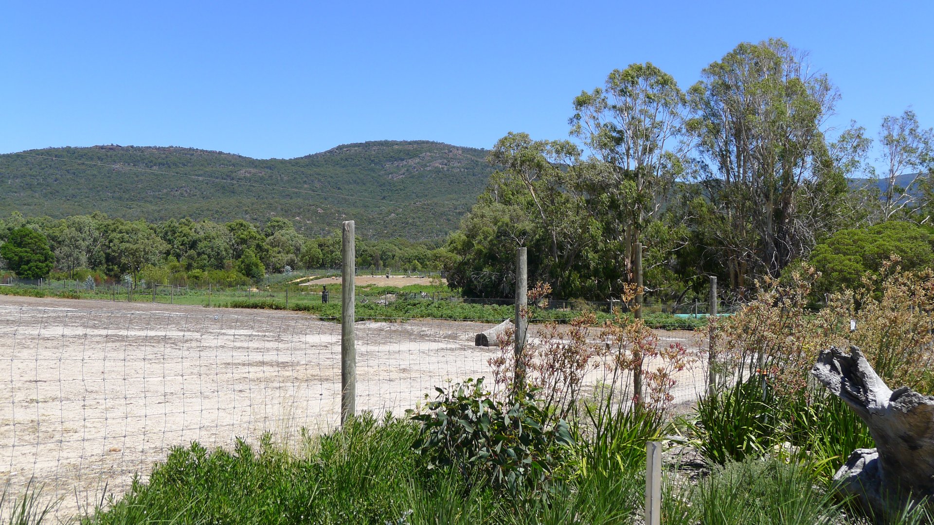 Halls Gap Zoo - view of the Grampian mountains