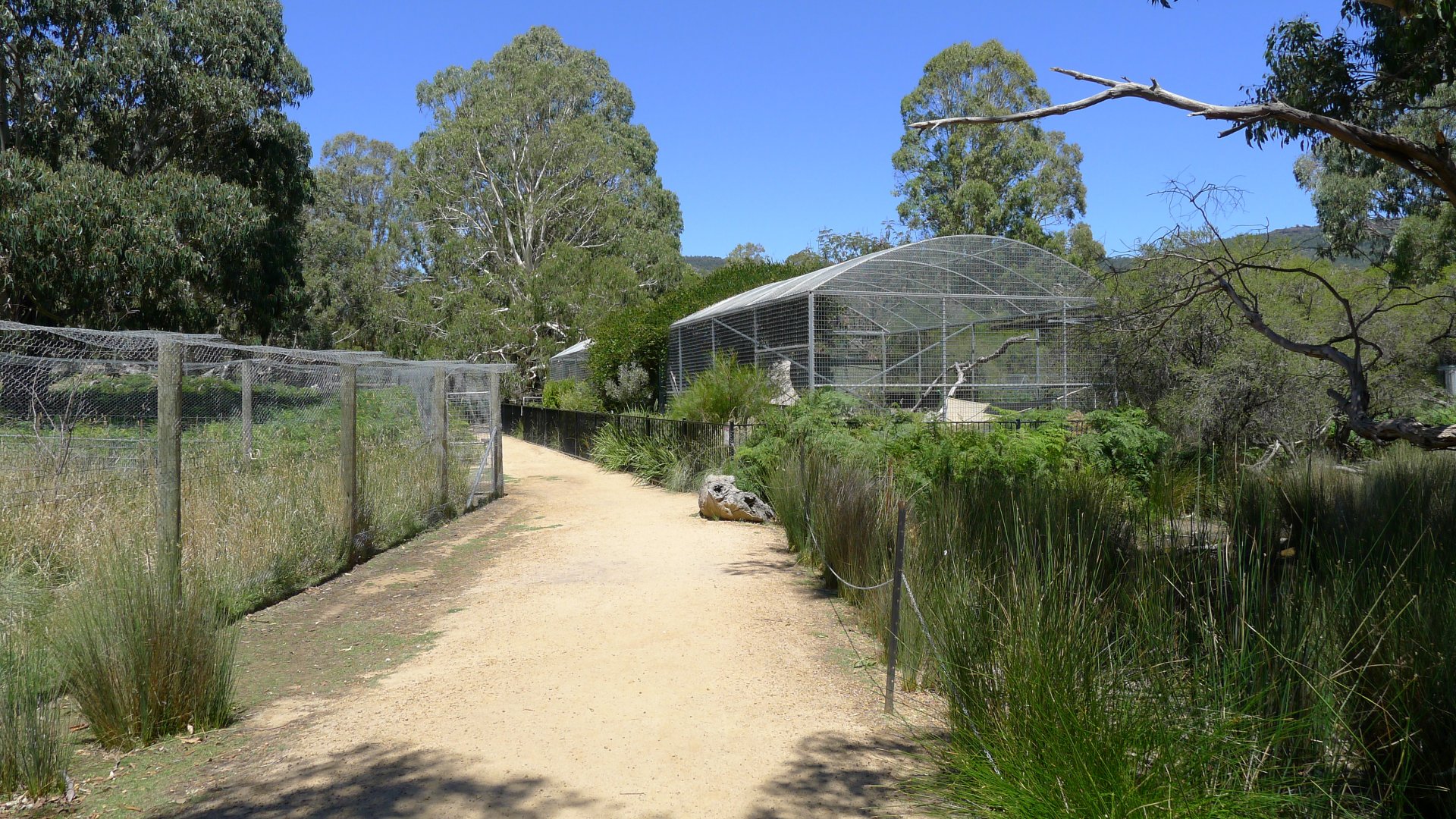 Halls Gap Zoo - view to Servals