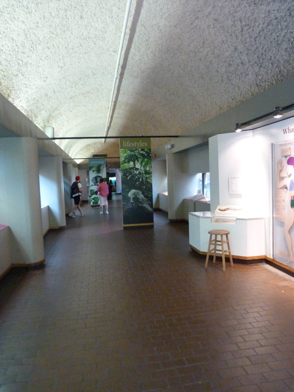 Hallway of Reptile House