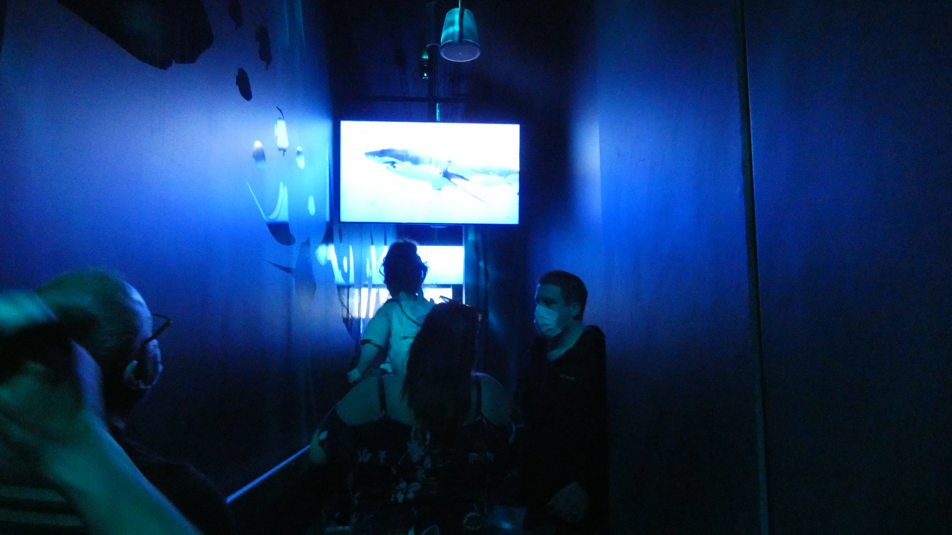 Hallway to Shark Canyon - Mar. 2022