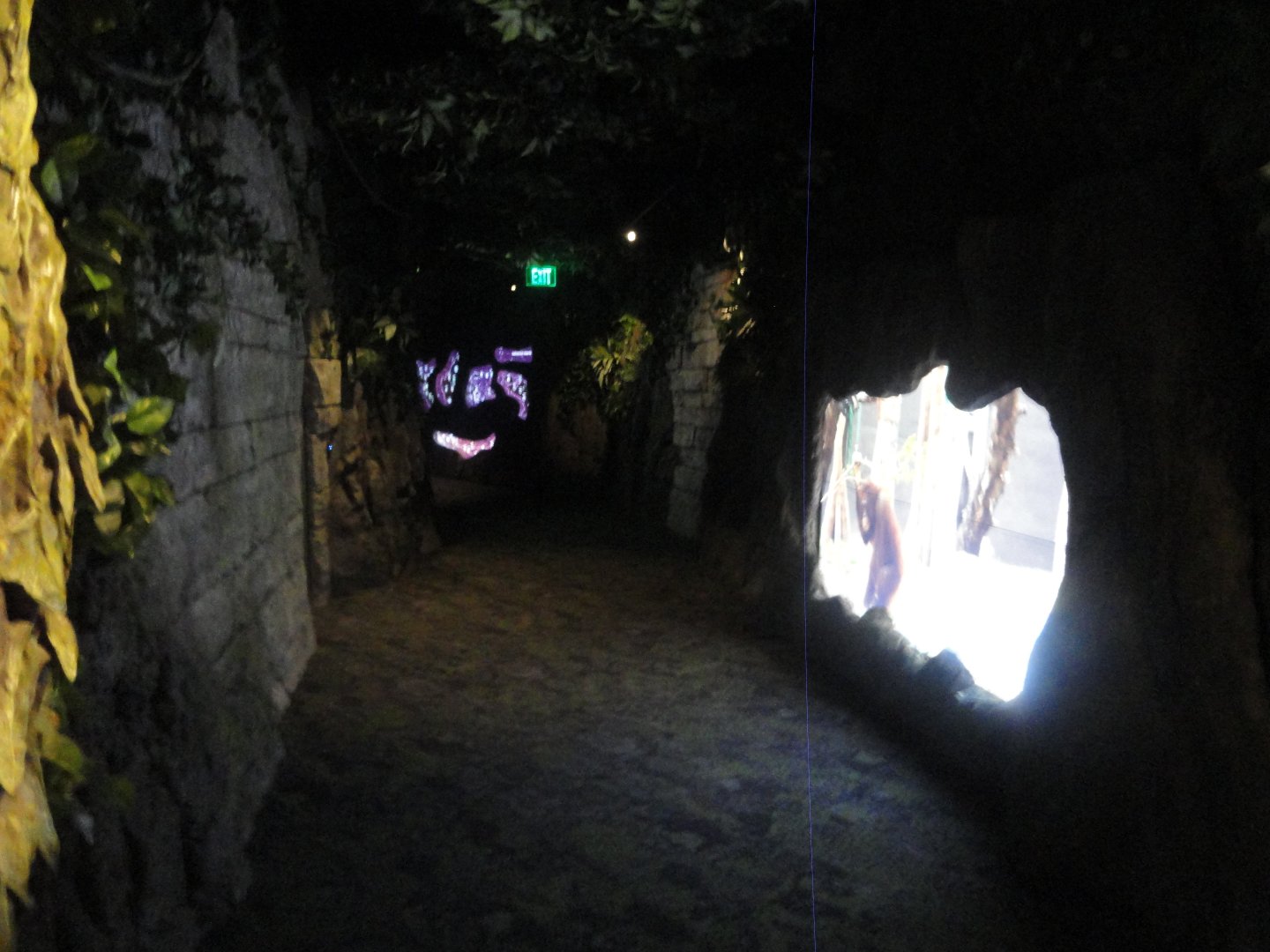 Hallway with Educational Movie Screens