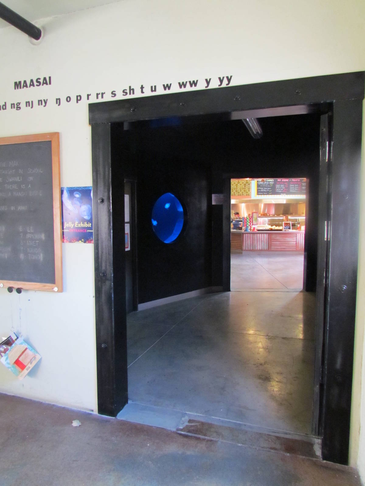 Hallway with Moon Jellies