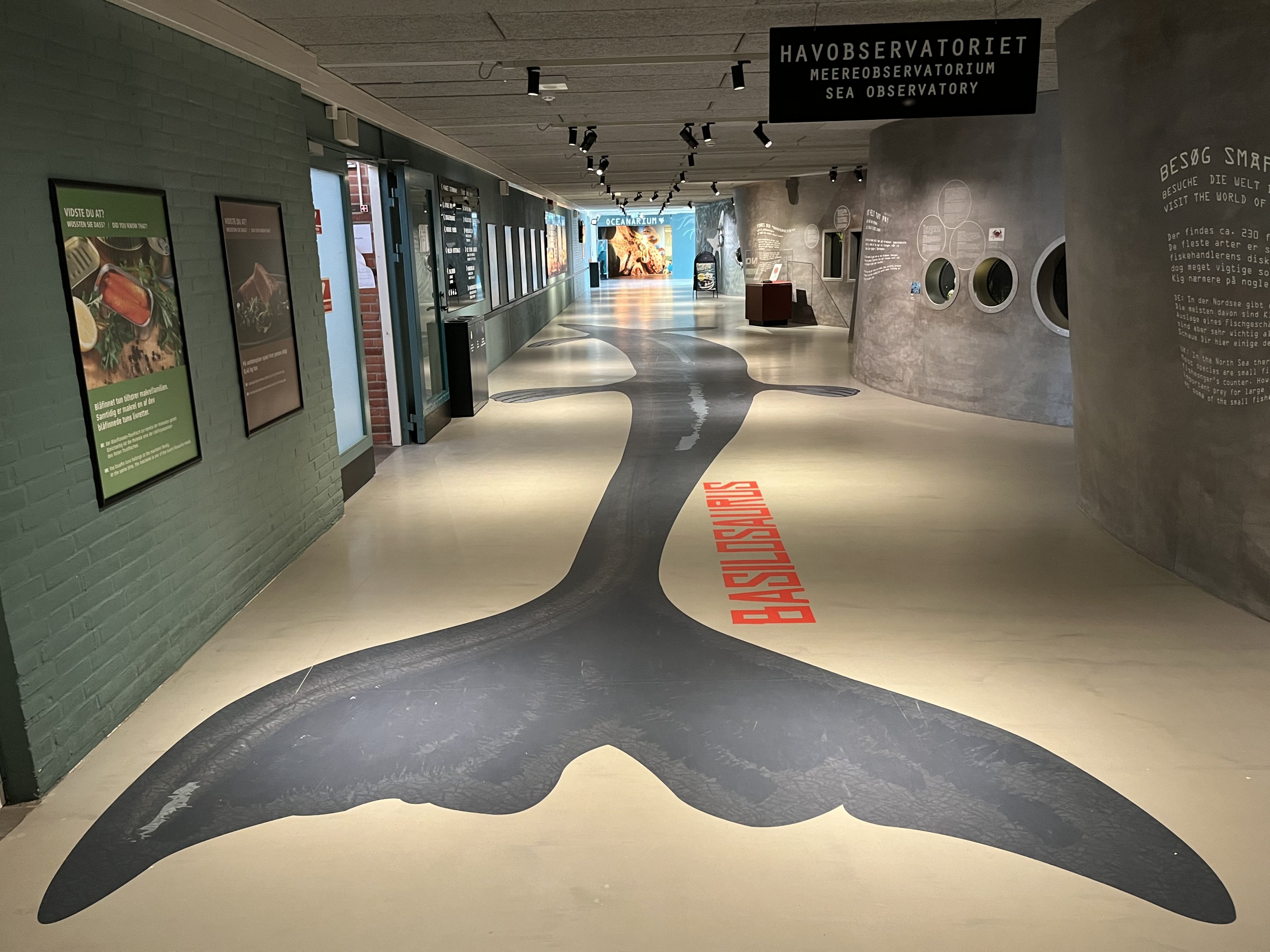 Hallway (with tanks in walls)