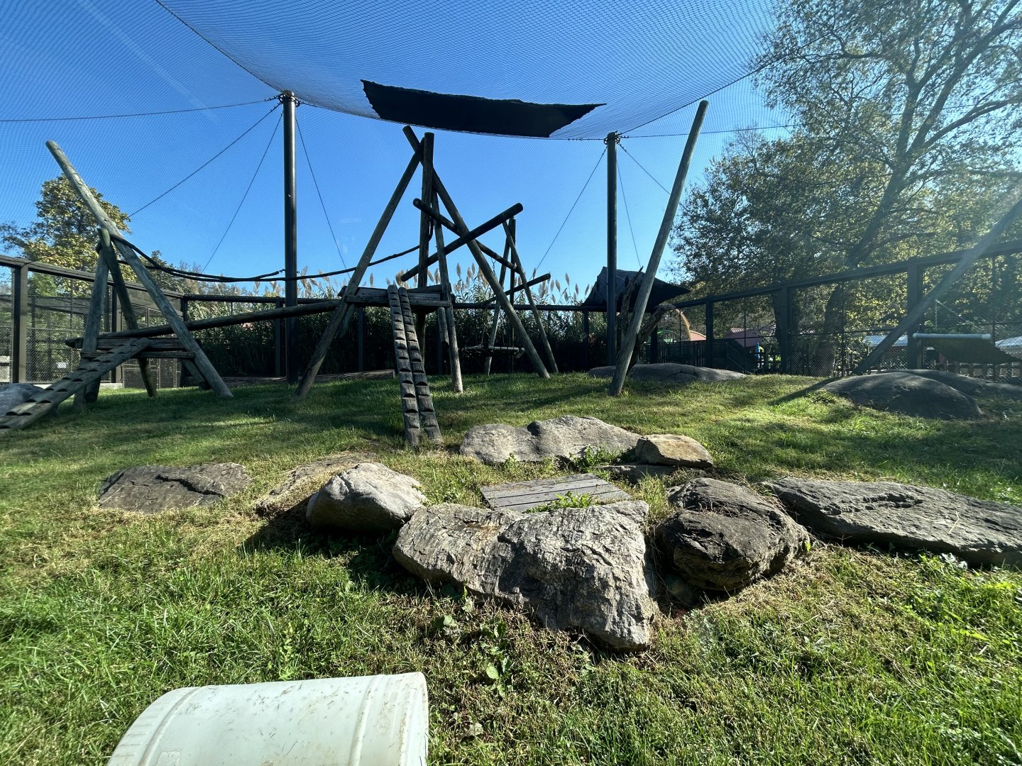 Hamadryads Baboon Exhibit - Valley of the Kings