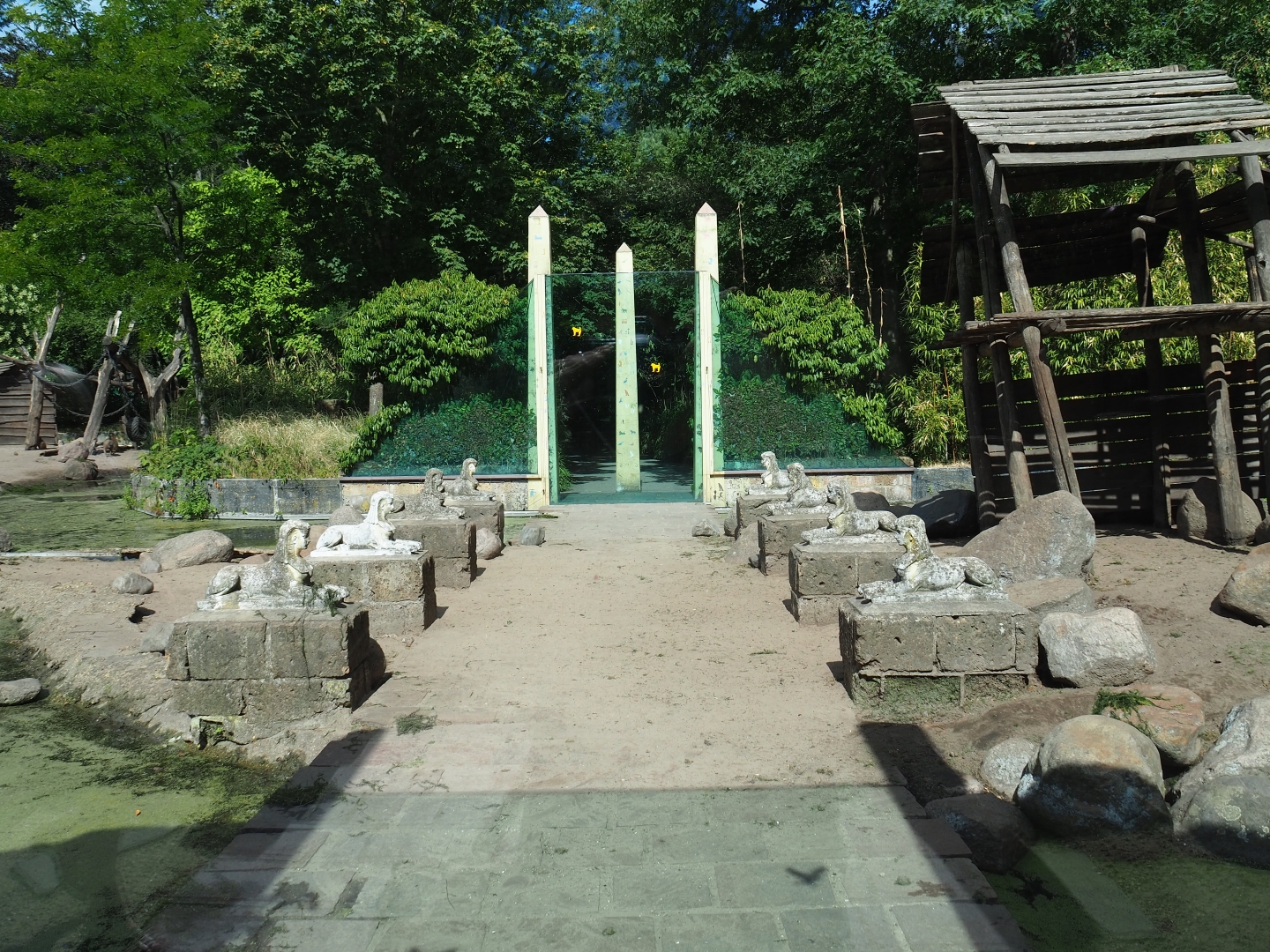 Hamadryas baboon/Aoudad exhibit