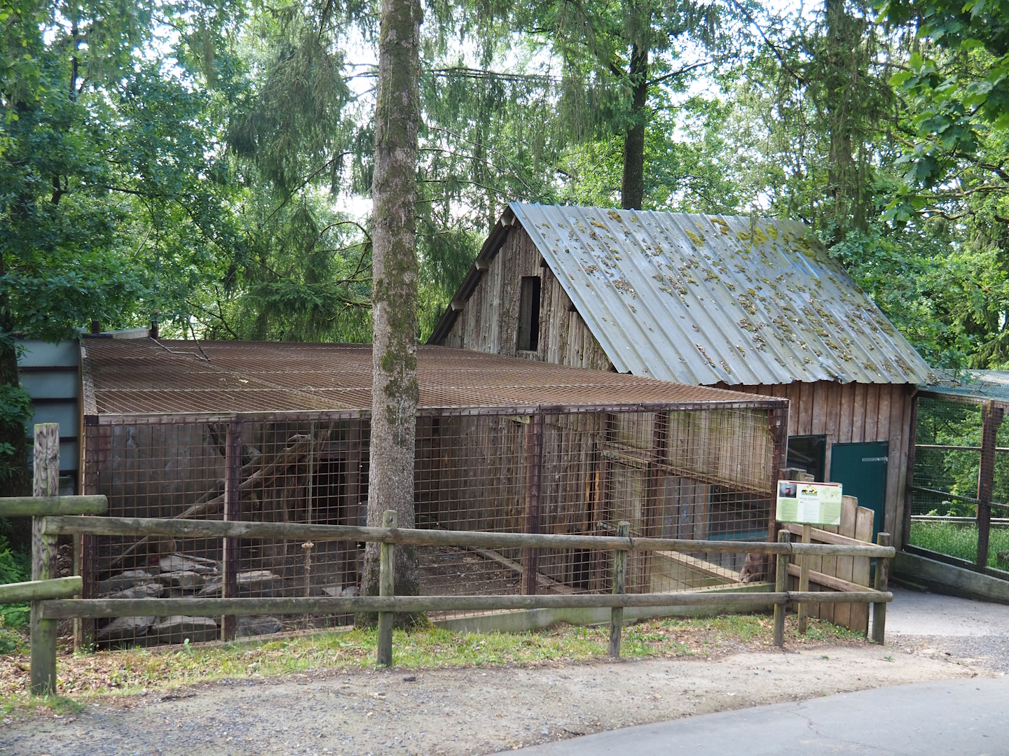 Hamadryas baboon cage and barn, 2023-06-24