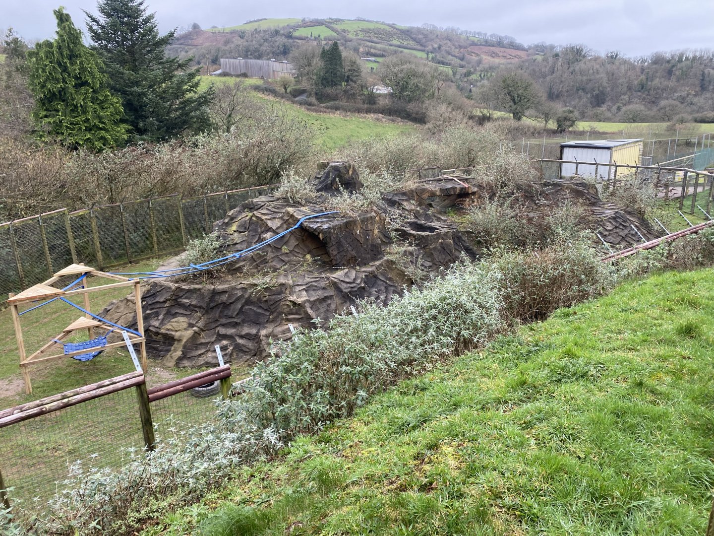 Hamadryas baboon enclosure 170224