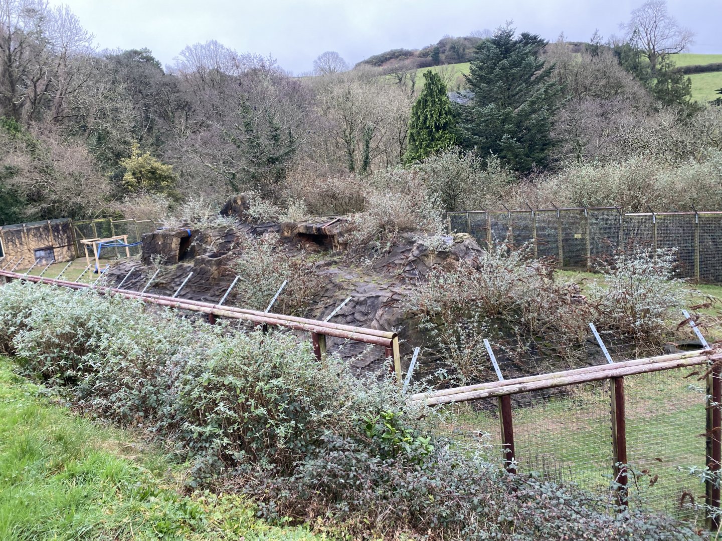 Hamadryas baboon enclosure 170224