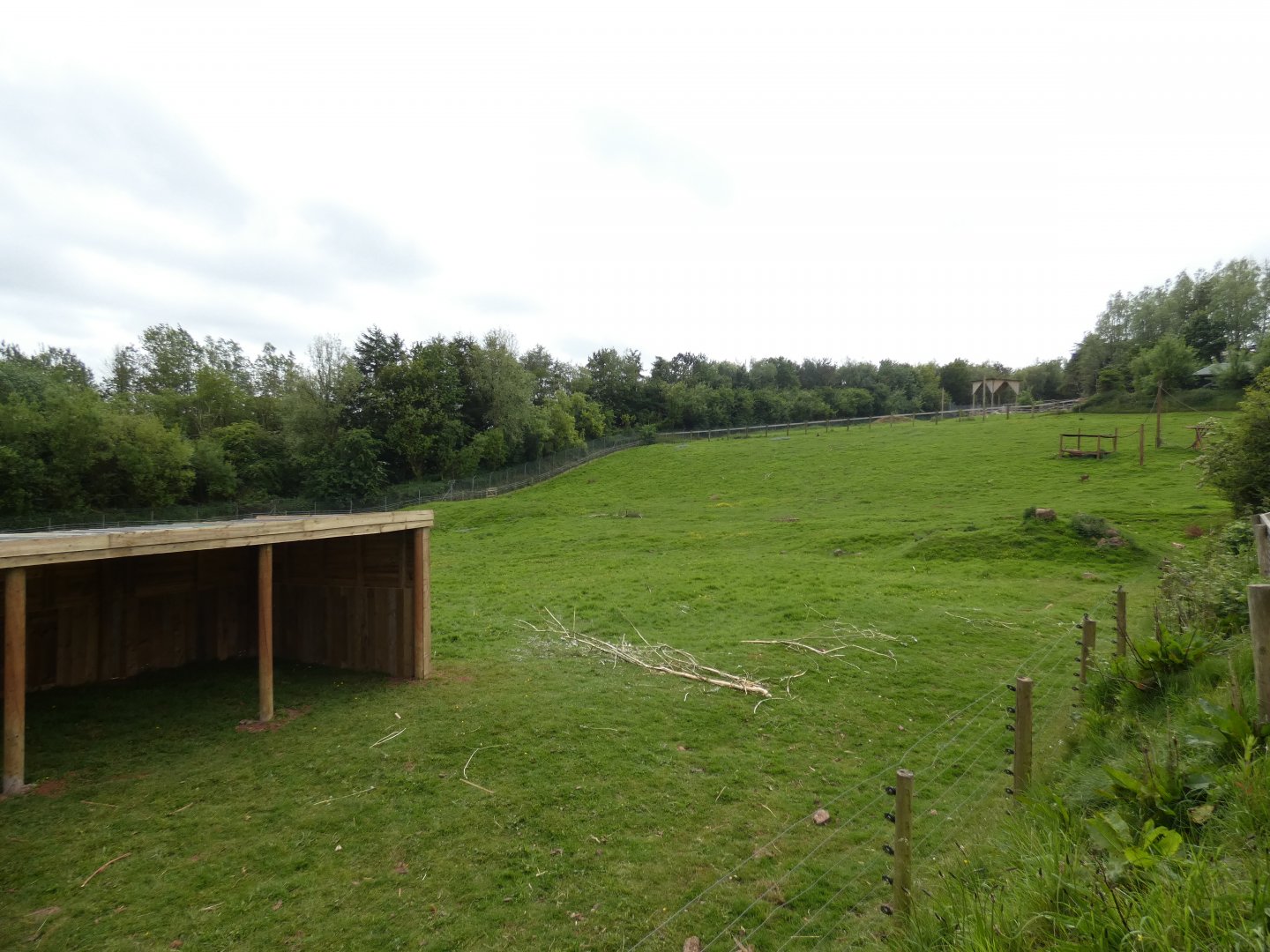 Hamadryas baboon enclosure (2)